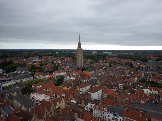 IMGP2346