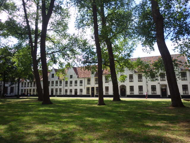 IMGP2219