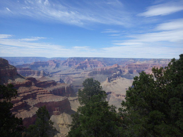 IMGP5257