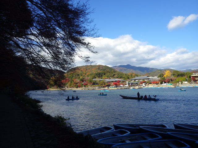 IMGP7304