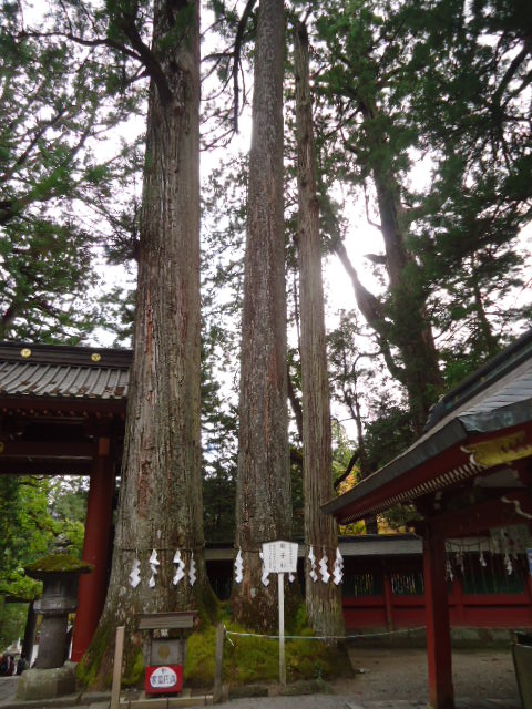 dsc00202_2