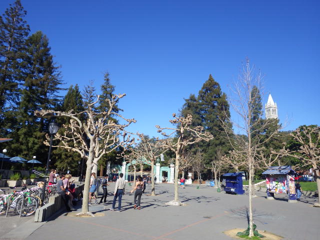 IMGP4278