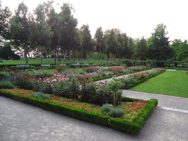 dsc06270
