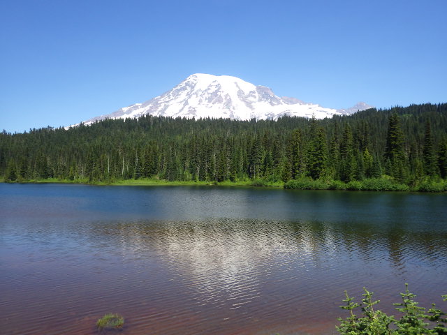 IMGP1515