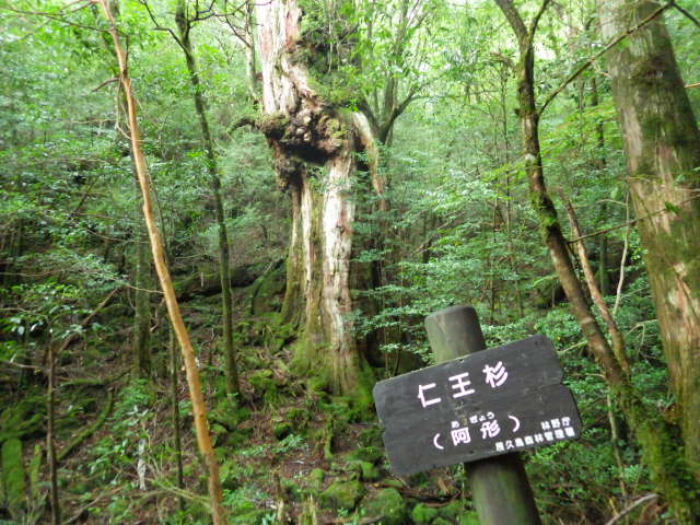 imgp2937