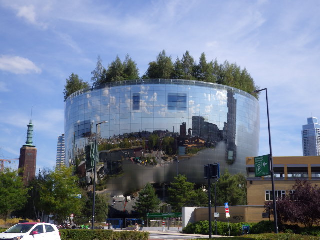IMGP2818