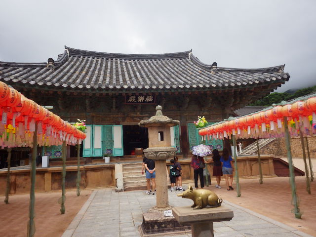 IMGP8727