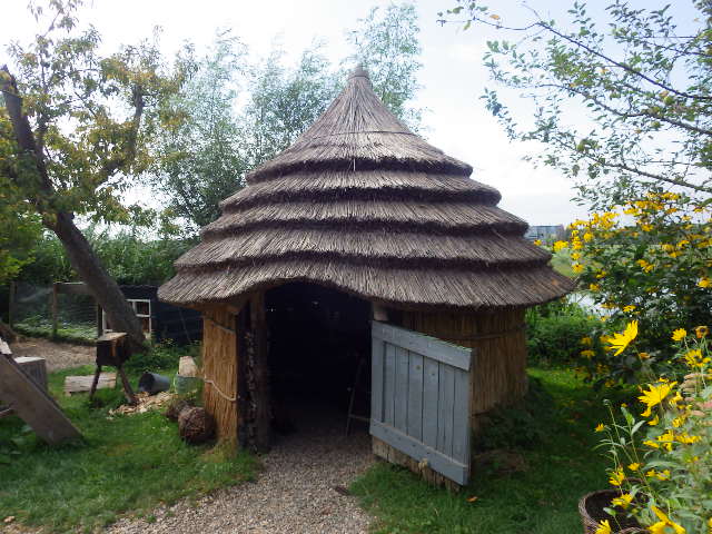 IMGP3034