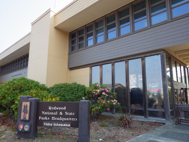 IMGP1769