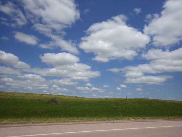 IMGP0035