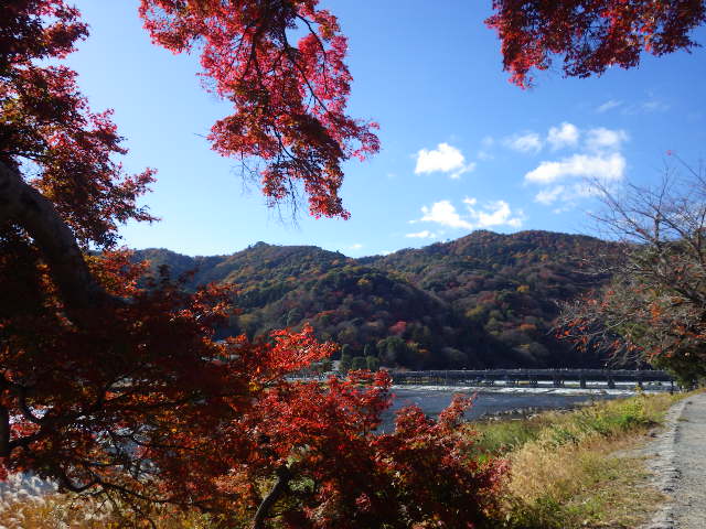 IMGP7326