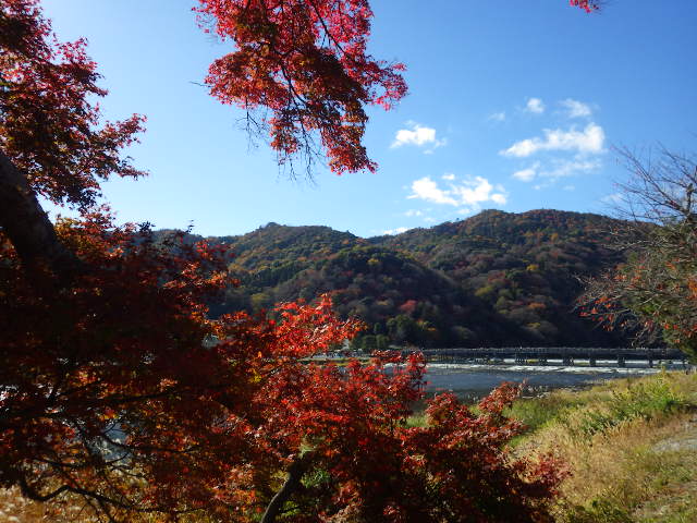 IMGP7328
