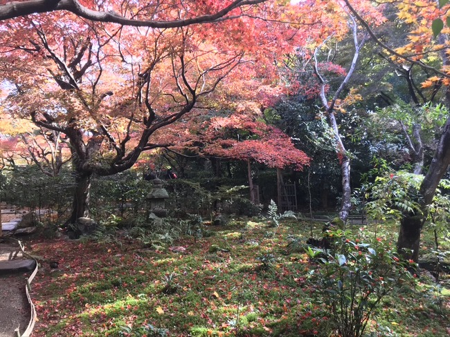 EEC54D63-73EB-404A-ACED-0FEB94E6A441_1_105_c