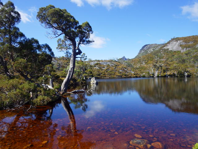 imgp6347