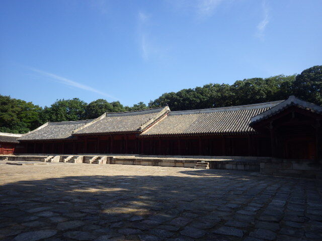 IMGP9123