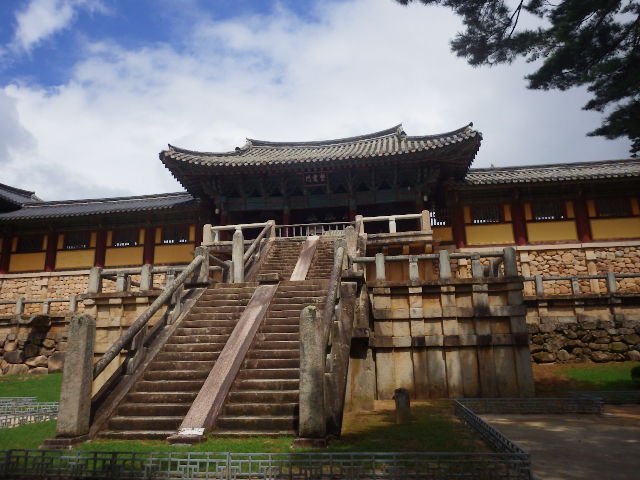 IMGP8681