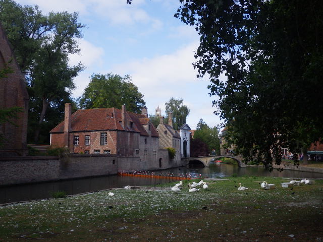 IMGP2274