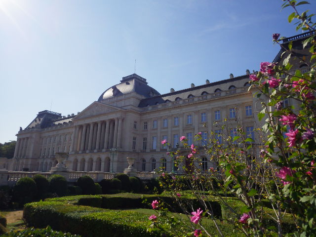 IMGP1641
