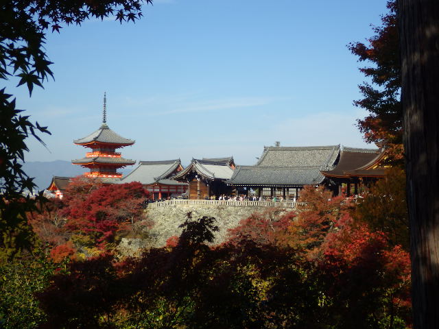 IMGP6775
