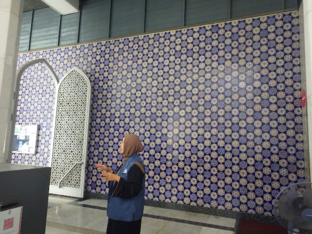 IMGP0241