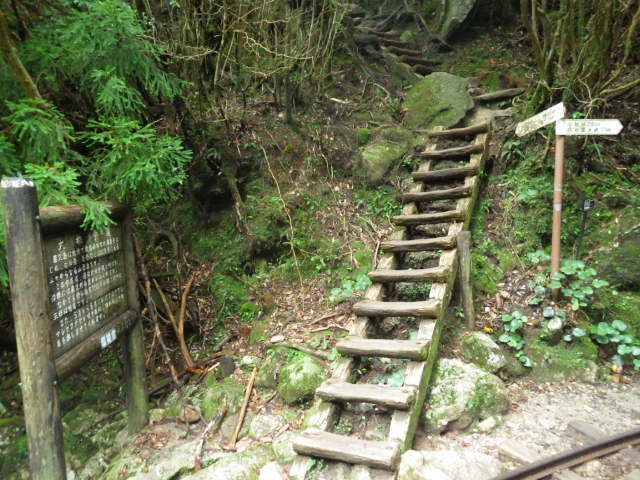 imgp2943_2