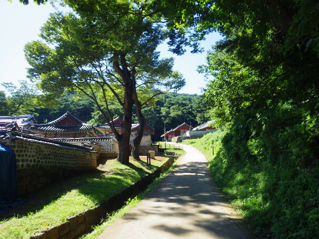 IMGP8787
