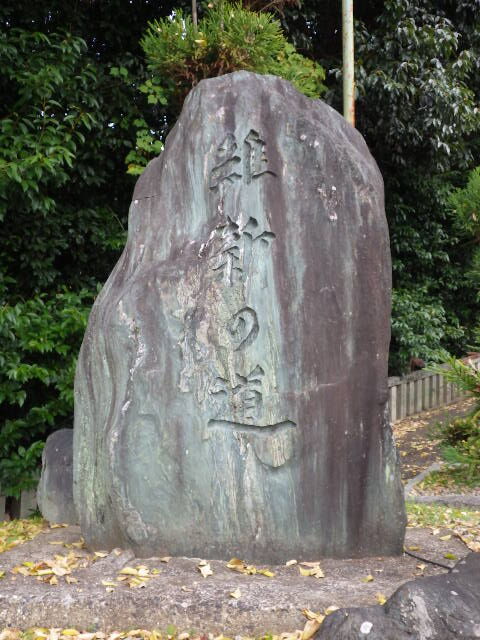 IMGP6871