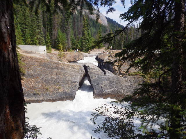 imgp0121