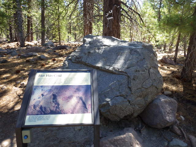 IMGP1942