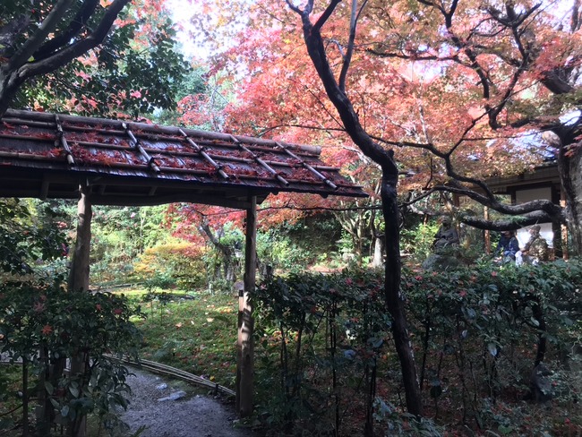 11A08262-34B6-4A4E-B7BE-F79D6CFF0775_1_105_c