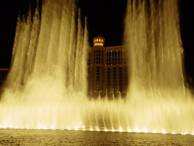 IMGP6298