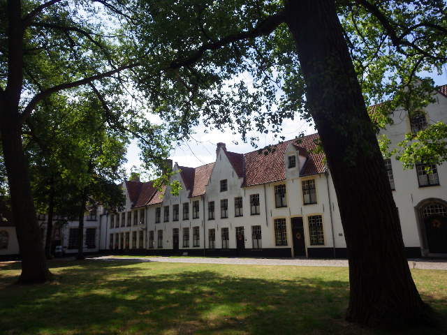 IMGP2222