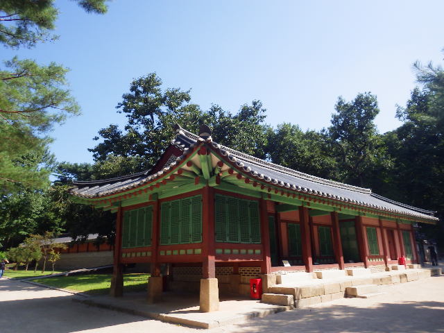IMGP9140
