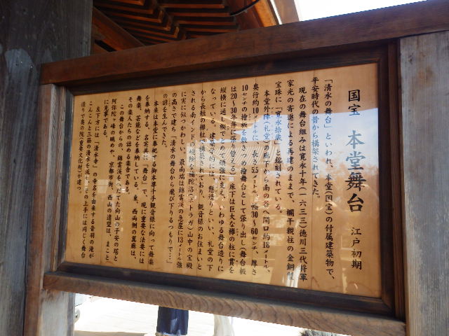IMGP6743