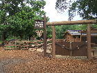DSCF3182