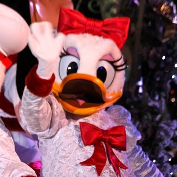 Christmas Tree Lighting Ceremony - 01
