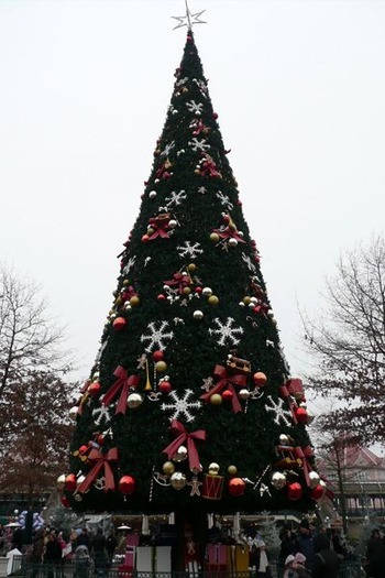 Christmas Tree Lighting Ceremony - 11