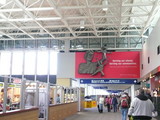 P1100514