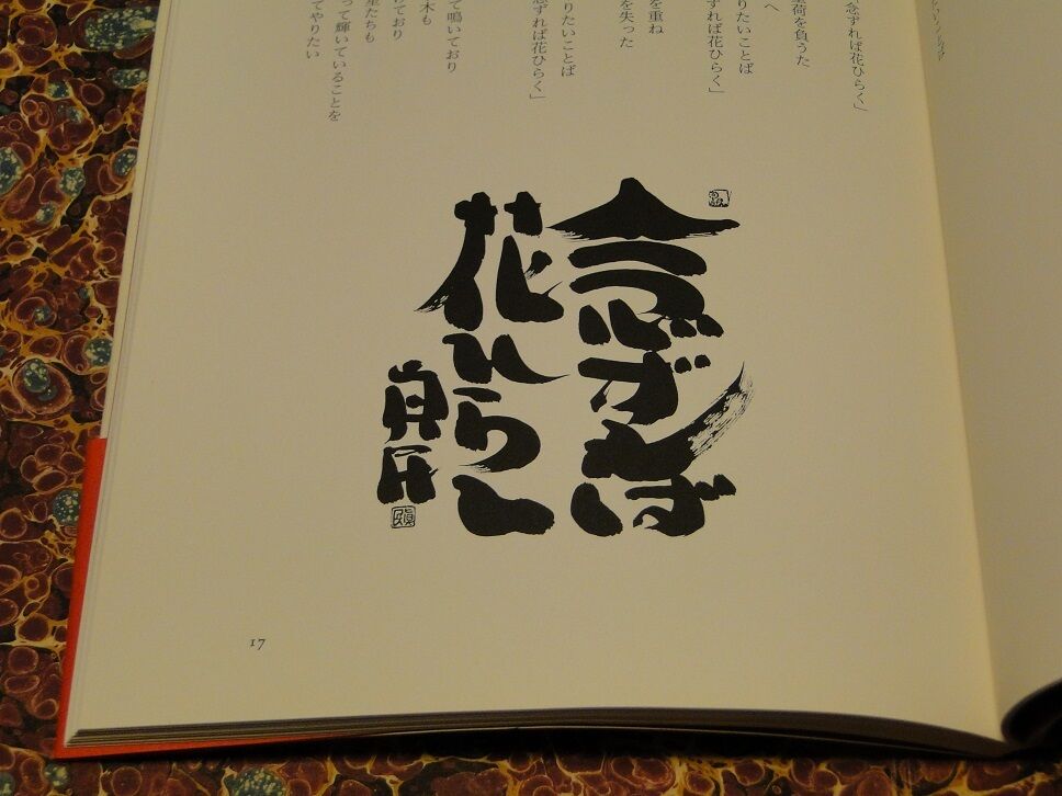 DSC04837.jpg