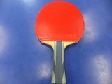 DSCF6478