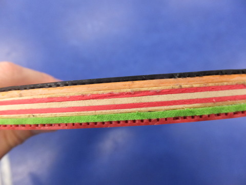 DSCF5646