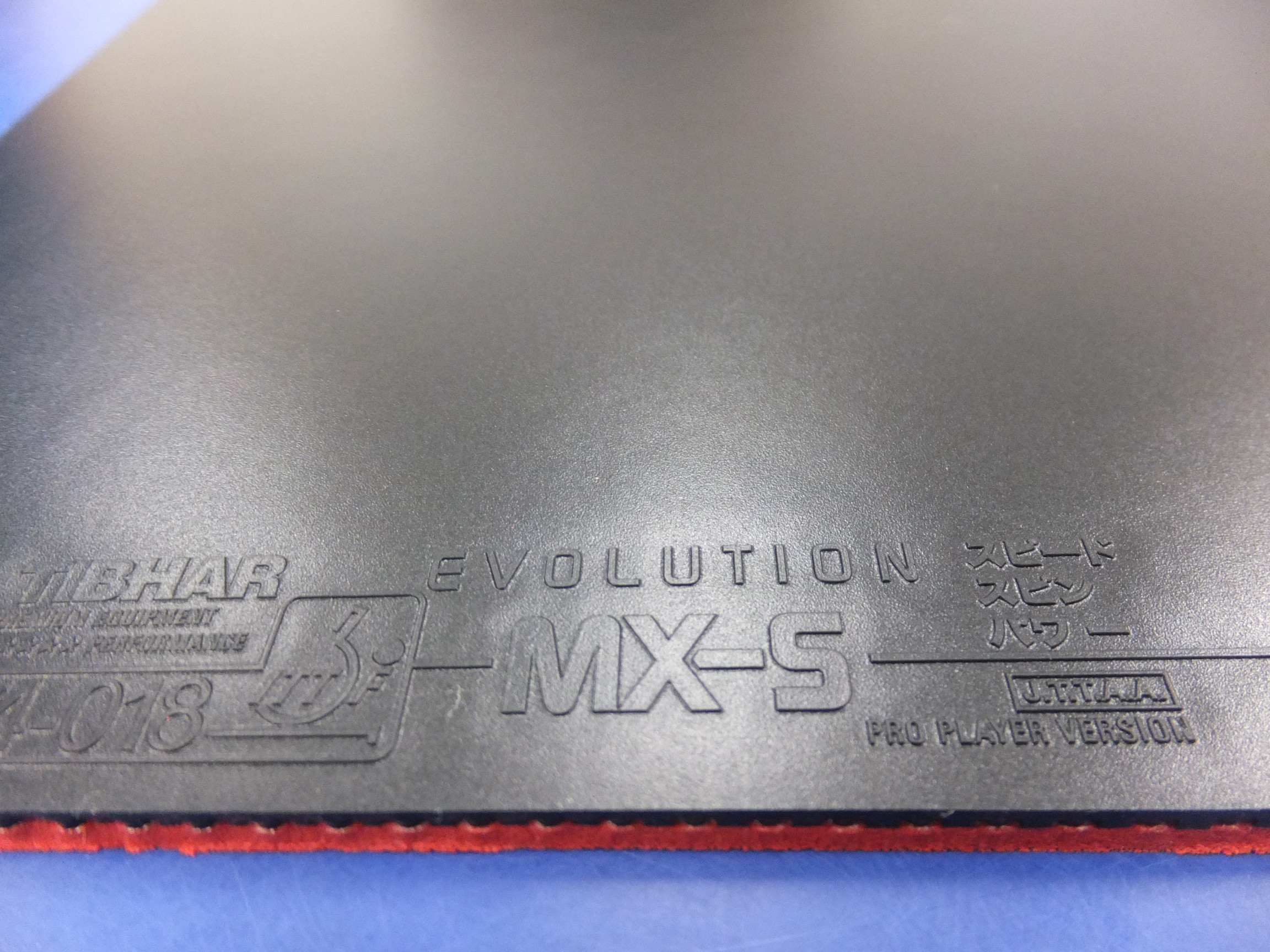 名入れ無料】 卓球ラケット メープルウッド エボリューションMX-S - スポーツ - labelians.fr 名入れ無料】 卓球ラケット メープルウッド エボリューションMX-S - スポーツ - labelians.fr