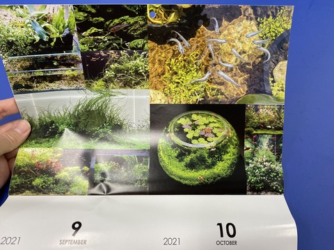 B43B3E11-FF10-4F61-BC49-A4ABBE5FD521