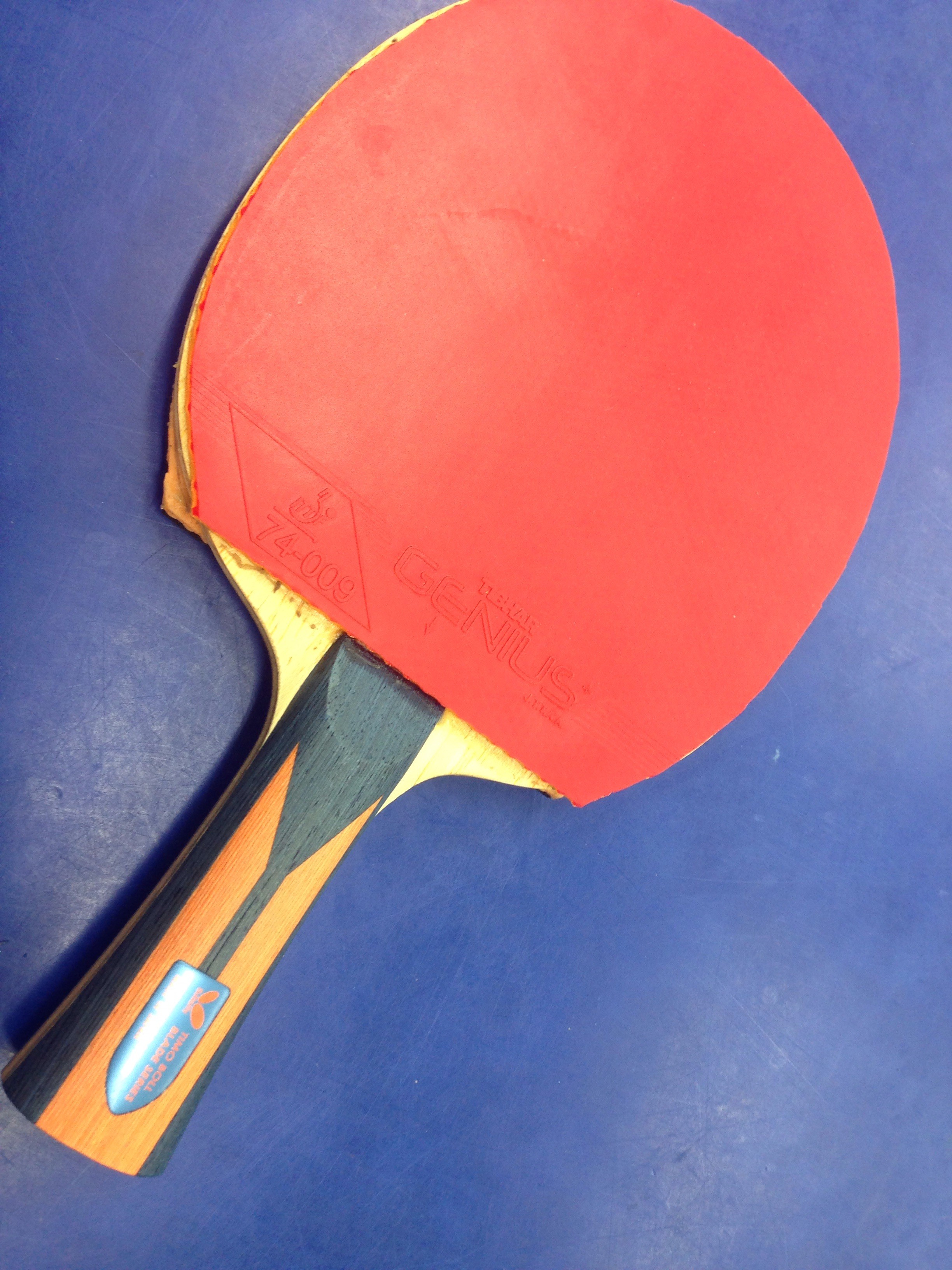 卓球 ラケット ティモボル W5 | housecleaningmadison.com