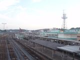 P1010101