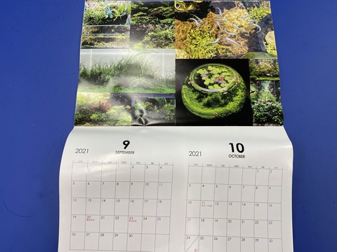 625BC68B-15DF-4DE5-A947-F45F9162B735