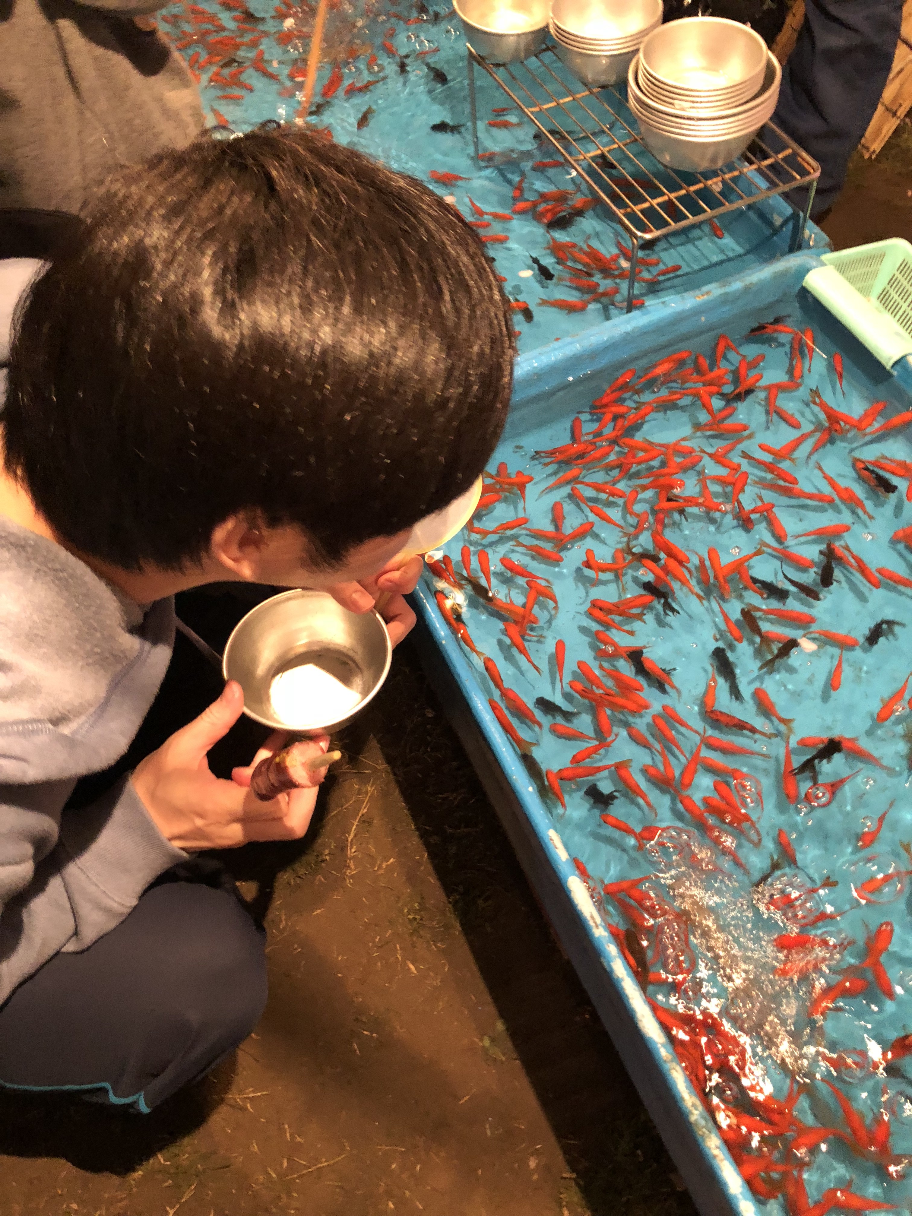 金魚すくいじゃー笑 勝つ 出目金欲しい ぐっちぃの卓球活動日記 Wrm 金魚すくいじゃー笑 勝つ 出目金欲しい ぐっちぃの卓球活動日記 Wrm