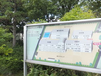 DSCF7380