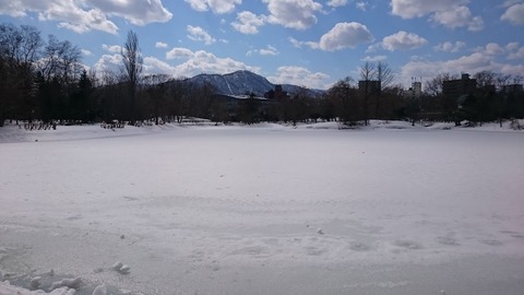 nakajimapark06
