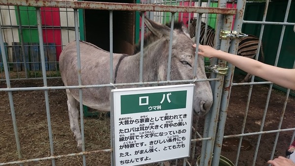 porotozoo06